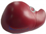 PU Toy  Medical Series