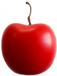 PU Toy Vegetable & Fruit Series